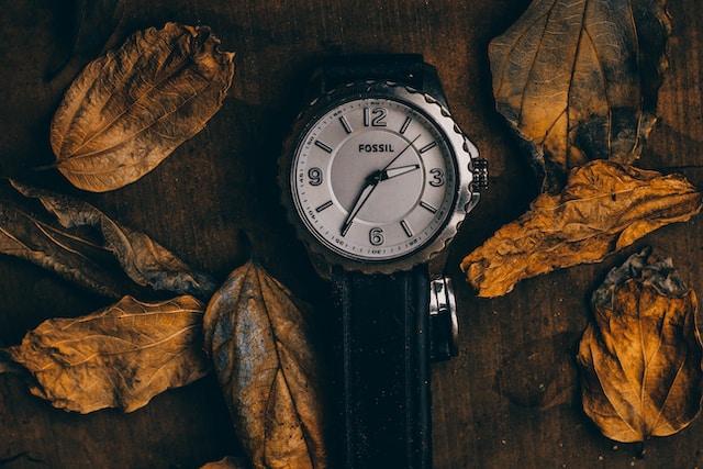 An Analog fossil watch