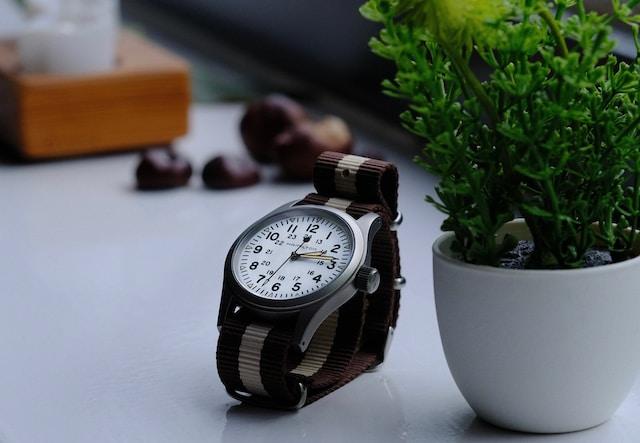 A Hamilton watch with canvas strap laying on the clean white surface