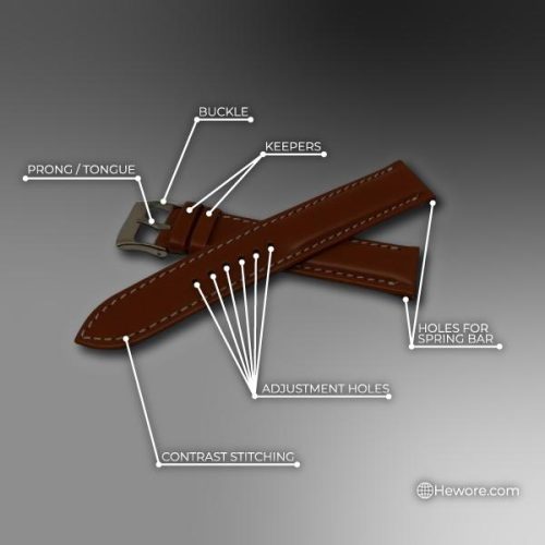 A infographic of different parts of a watch